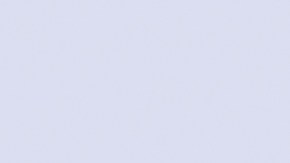 bolso-cartier-usado-9-mil-dolares-subasta