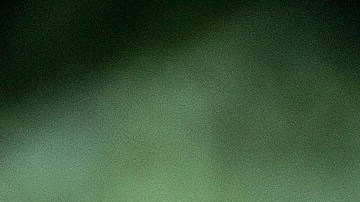 Ofelia, una trabajadora agrícola mexicana miembro  de Farmer Worker Association of Florida, en una finca de Homestead.