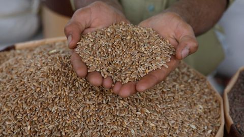 Una de las iniciativas que ahora mantendrá la FAO como meta es llevar la agricultura familiar a los comedores escolares.