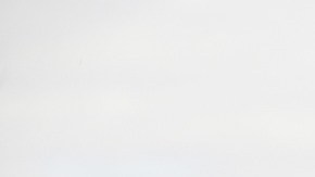 El bebé fue declarado muerto en el lugar de la agresión de la mascota.