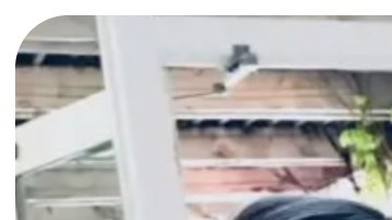 Kouri y Eric Richins