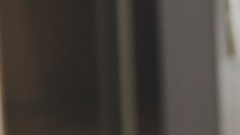 ¿Cuáles son los 10 mejores negocios para emprender desde casa?