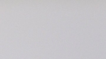 mesero-propina-departamento-del-trabajo