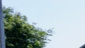 El clamor porque se legislen protecciones para los inquilinos llegó a Brooklyn