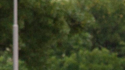 Tiroteo en Serbia: 8 niños y un guardia de seguridad murieron