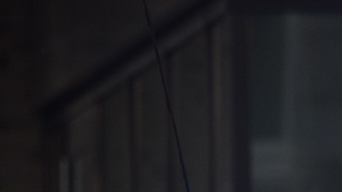 Al lugar llegó la policía de Nueva Gales del Sur, quienes ahora están bajo investigación.