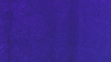 La presentadora Lili Estefan junto a Raúl de Molina se encuentran de festejo.