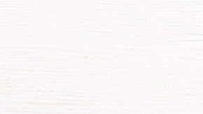 Alimentos probióticos y prebióticos