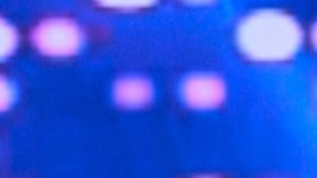 El venezolano Raúl González es uno de los conductores de 'Despierta América'.