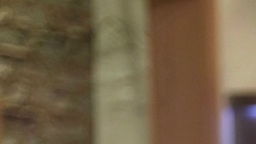 La presentadora Lili Estefan estuvo ausente en el programa.