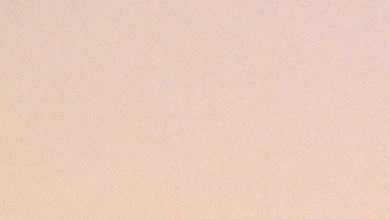 La dominicana Francisca sigue deslumbrando en el programa de Univision.