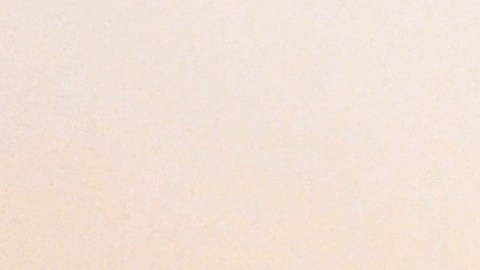 Conductores de 'Despierta América'.