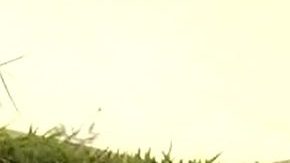 Marjorie de Sousa encabeza el elenco de la telenovela "Golpe de Suerte", producción de Nicandro Díaz.