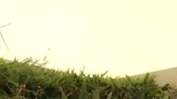 Marjorie de Sousa encabeza el elenco de la telenovela "Golpe de Suerte", producción de Nicandro Díaz.