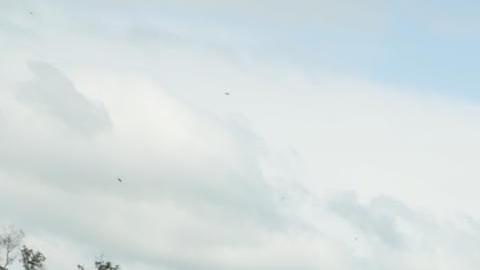 Todavía no se ha determinado quien es responsable de este nuevo sabotaje a infraestructura de Ucrania.