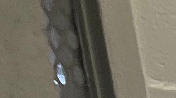 Internos de Rikers Island en una sala de recreación