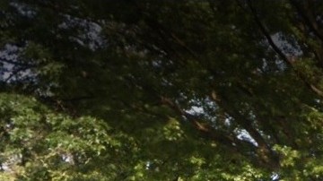 Boathouse Central Park, NYC.