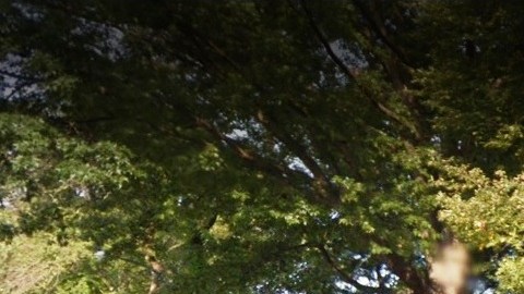 Boathouse Central Park, NYC.