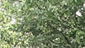 Nuevos contenedores de basura instalados en NYC.