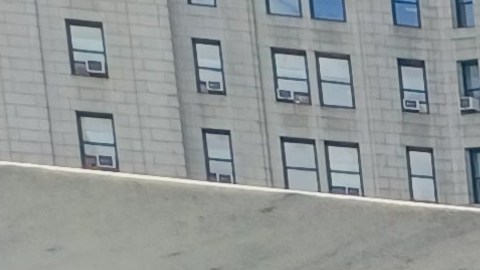 Este lunes manifestantes tomaron las puertas del Departamento de Educación en el Bajo Manhattan.