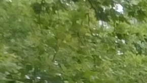 El senador de El Bronx, Gustavo Rivera, asegura que todo depende ahora de un paso burocŕatico.