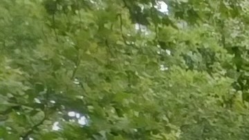 El senador de El Bronx, Gustavo Rivera, asegura que todo depende ahora de un paso burocŕatico.