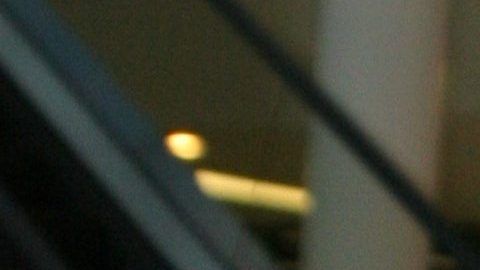 Talina Fernández murió este miércoles 28 de junio.