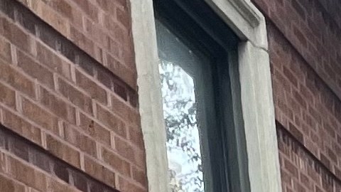 Aprueban ley estatal contra el robo de escrituras inmobiliarias en Nueva York