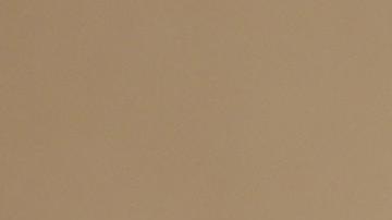 El presidente ruso, Vladimir Putin, durante una reunión con las familias galardonadas con las Órdenes de Gloria Parental.