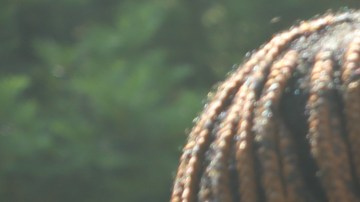 Manifestantes pidieron al alcalde Eric Adams incluir $70 millones para financiar abogados gratuitos que ayuden a migrantes a presentar sus casos de asilo