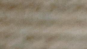 Fanático chino usa una mascarilla en honor a "La Pulga".