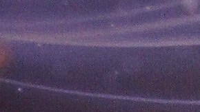 La mexicana Penélope Menchaca es una de las conductoras del programa 'Hoy Día'.