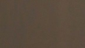 Sandra Echeverría y Lonardo de Lozanne en la alfombra de la 31 edición de Premio Lo Nuestro.