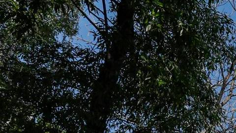 Moscú, capital de Rusia, fue blanco de ataques con drones de Ucrania.