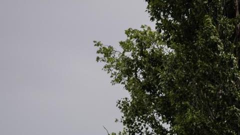 Una embarcación navega en medio de la Inundación en la región de Mykolaiv tras el colapso de la represa
