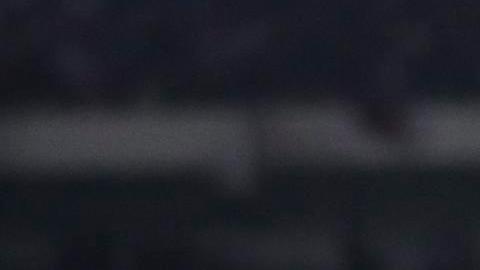 Cristian Romero celebra su gol con sus compañeros de la selección argentina.
