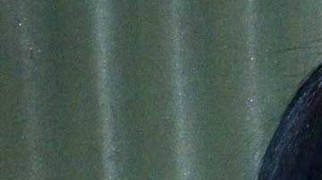 América Guinart procreó tres hijos al lado del cantante Alejandro Fernández