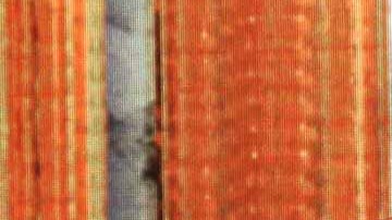 Apio Quijano forma parte del grupo Kabah