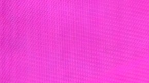 Arnold Schwarzenegger