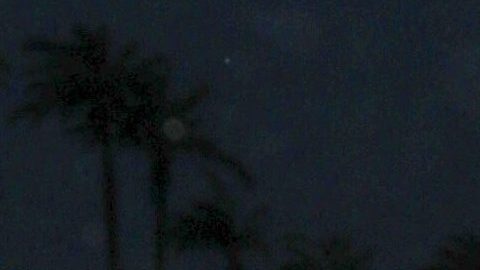 Demi Rose es una belleza imparable en el mundo de Instagram.