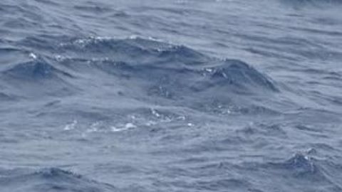 Bote rescate
