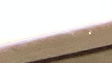 Louis Molina, Comisionado del Departamento de Correccionales de la Ciudad de Nueva York (DOC)