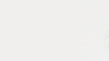 Eugenio Derbez tiene una capacidad enorme para saltar de la comedia al drama