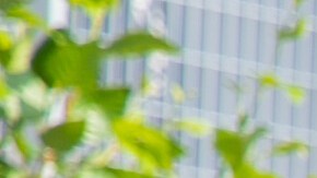 Miles de personas toman los trabajos temporales que ofrece el US Open. Las posiciones se llenan entre los residentes del área con el objetivo de reactivar la economía. /Cortesía USTA