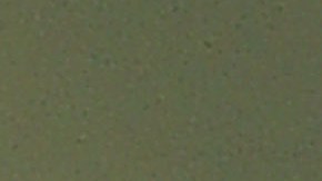 El príncipe William y la princesa Kate se mudaron a Adelaide Cottage en septiembre del año pasado.