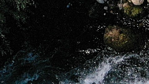 Rafting