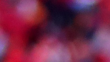 Travis Kelce celebra luego del título de la AFC en 2022.