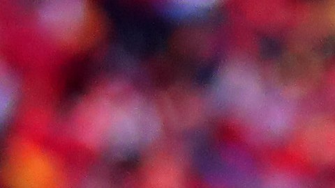 Travis Kelce celebra luego del título de la AFC en 2022.