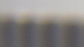 Imagen de carne cultivada en un laboratorio.