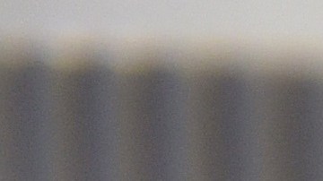 Imagen de carne cultivada en un laboratorio.